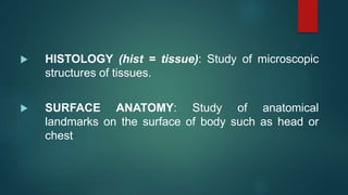  HISTOLOGY (hist = tissue): Study of microscopic
structures of tissues.
 SURFACE ANATOMY: Study of anatomical
landmarks on the surface of body such as head or
chest
 