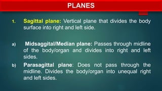PLANES
1. Sagittal plane: Vertical plane that divides the body
surface into right and left side.
a) Midsaggital/Median plane: Passes through midline
of the body/organ and divides into right and left
sides.
b) Parasagittal plane: Does not pass through the
midline. Divides the body/organ into unequal right
and left sides.
 