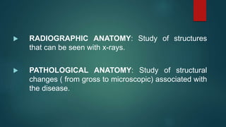 RADIOGRAPHIC ANATOMY: Study of structures
that can be seen with x-rays.
 PATHOLOGICAL ANATOMY: Study of structural
changes ( from gross to microscopic) associated with
the disease.
 