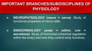 IMPORTANT BRANCHES/SUBDISCIPLINES OF
PHYSIOLOGY
 NEUROPHYSIOLOGY (neuro = nerve): Study of
functional properties of nerve cells.
 ENDOCRINOLOGY (endo = within; crin =
secretions): Study of hormones (chemical regulators
within the body) and how they control body functions.
 