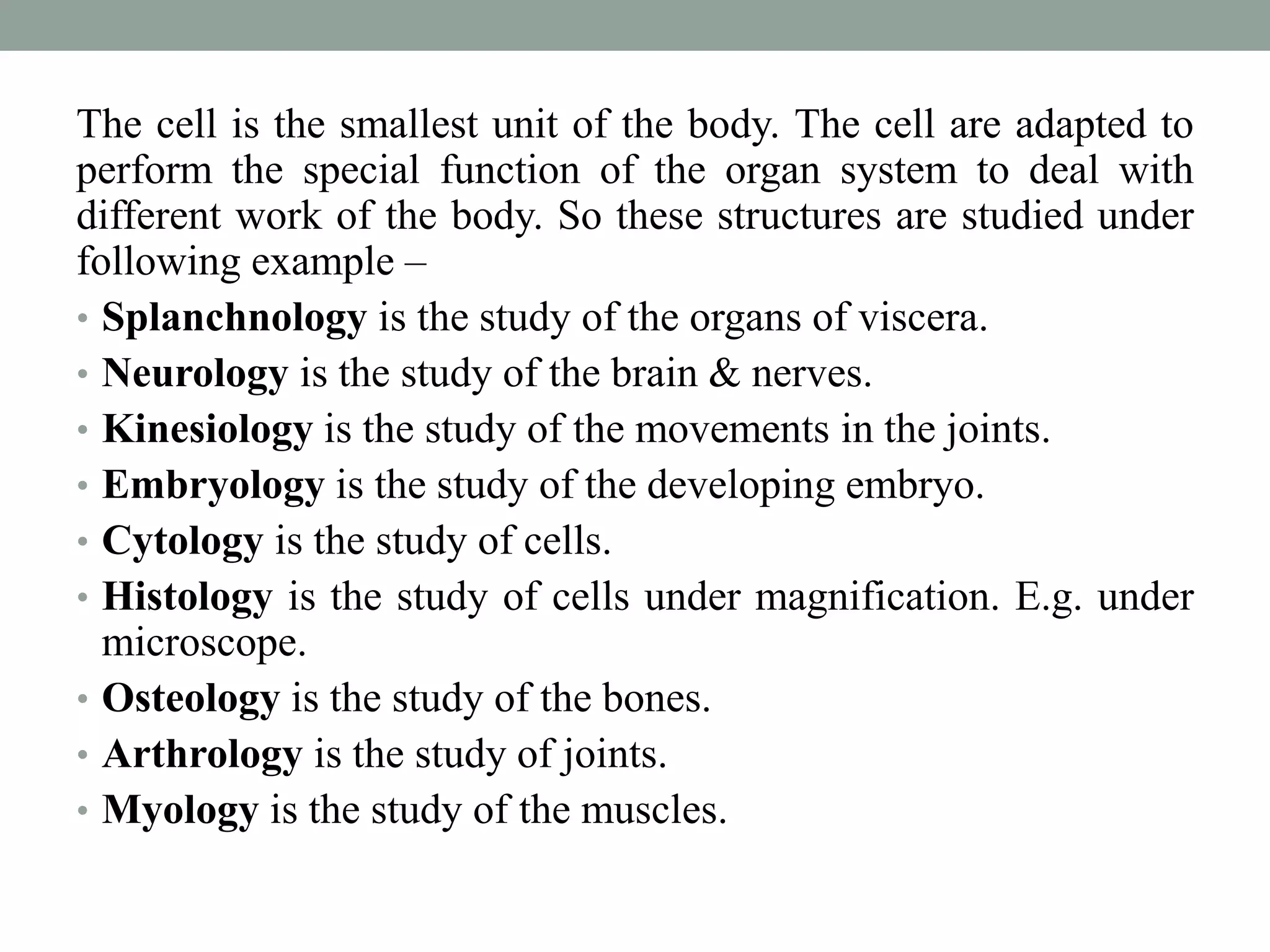 Anatomical terms.pptx