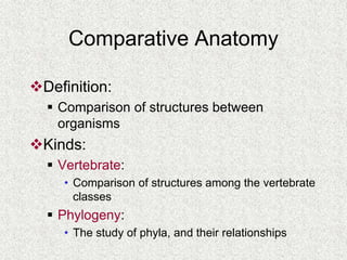 anatomical terminology for first year MBBS | PPT