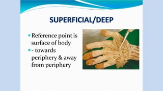 Reference pointis
surface of body
- towards
periphery & away
from periphery
 