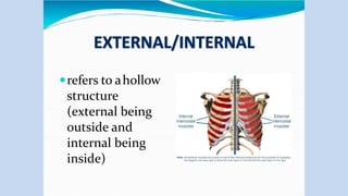 refers to ahollow
structure
(external being
outside and
internal being
inside)
 