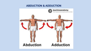 ABDUCTION & ADDUCTION
 