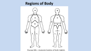 Regions of Body
 