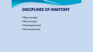 DISCIPLINES OF ANATOMY
 Macroscopic
 Microscopic
 Developmental
 Neuroanatomy
 