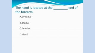 end of
The hand is located at the
the forearm.
A. proximal
B. medial
C. Interior
D. distal
 