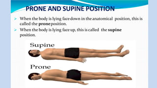 PRONE AND SUPINE POSITION
 When the body is lying facedown in theanatomical position, this is
called the proneposition.
 When the body is lying face up, this is called the supine
position.
 