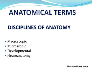 DISCIPLINES OF ANATOMY
 Macroscopic
 Microscopic
 Developmental
 Neuroanatomy
MedicosNotes.com
 