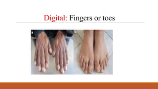 Degete Anatomical Terms Organization of The Human Body.pptx