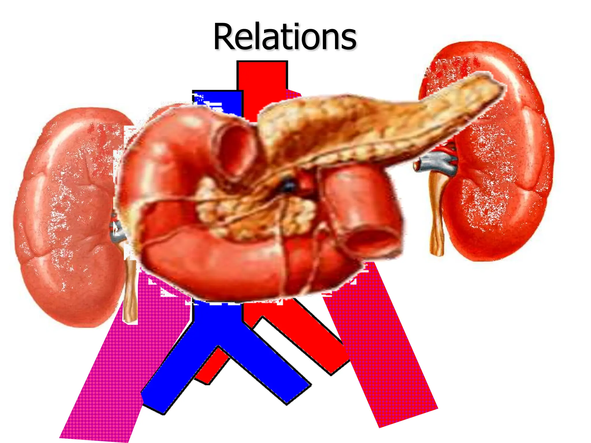 Relations
 