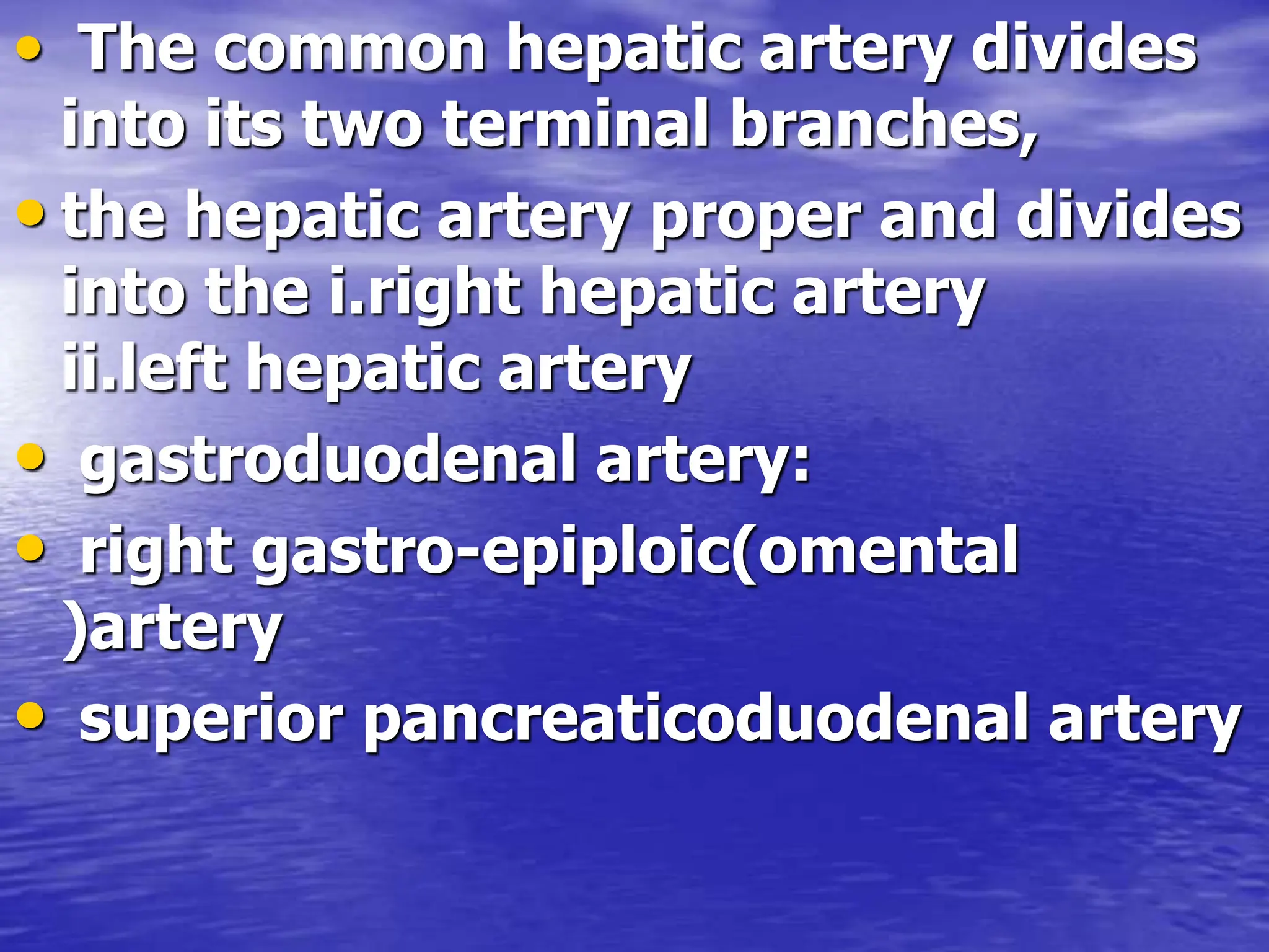 • The common hepatic artery divides
into its two terminal branches,
• the hepatic artery proper and divides
into the i.right hepatic artery
ii.left hepatic artery
• gastroduodenal artery:
• right gastro-epiploic(omental
)artery
• superior pancreaticoduodenal artery
 