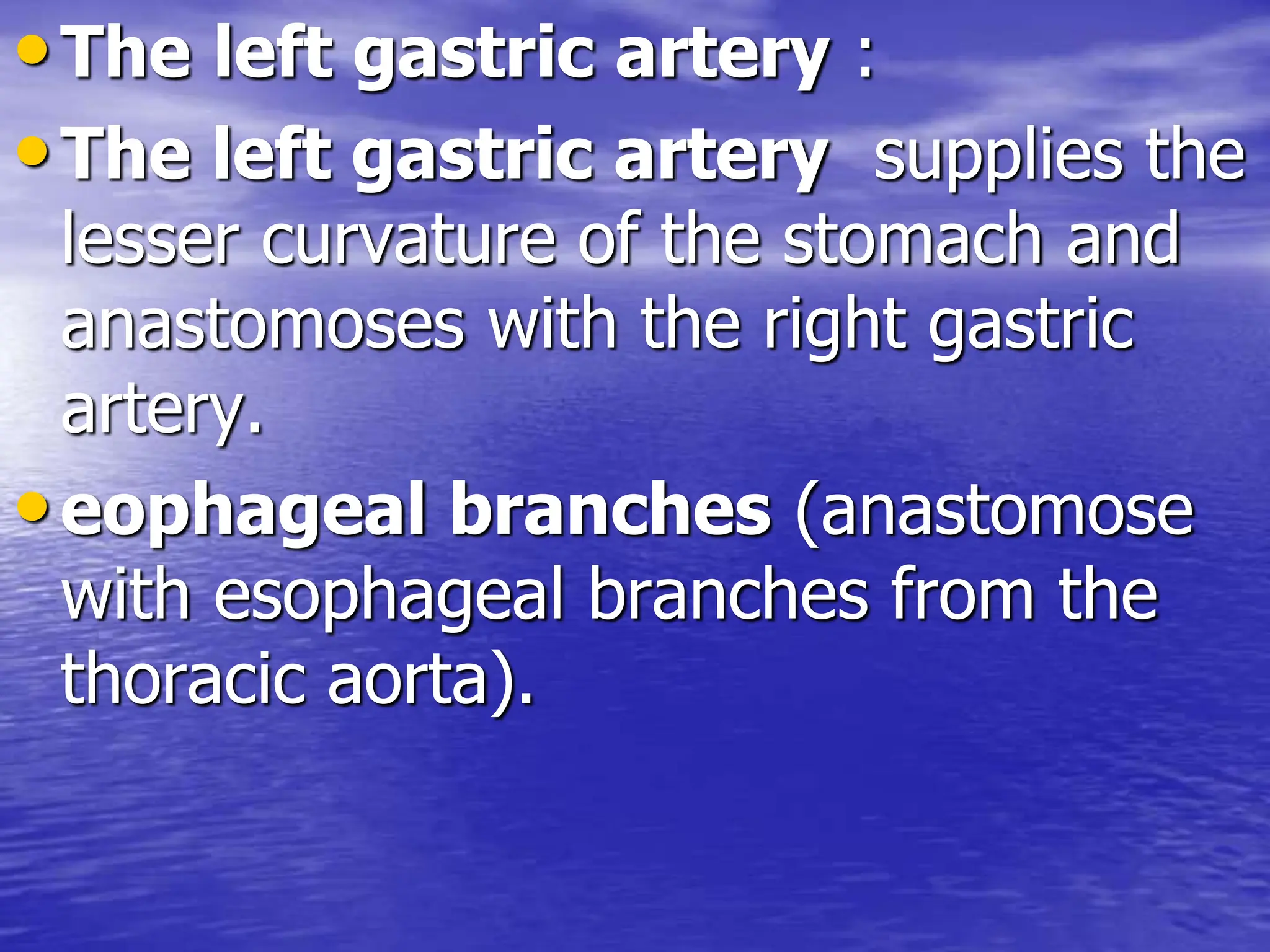 •The left gastric artery :
•The left gastric artery supplies the
lesser curvature of the stomach and
anastomoses with the right gastric
artery.
•eophageal branches (anastomose
with esophageal branches from the
thoracic aorta).
 
