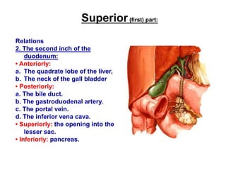 Superior(first) part:
Relations
2. The second inch of the
duodenum:
• Anteriorly:
a. The quadrate lobe of the liver,
b. The neck of the gall bladder
• Posteriorly:
a. The bile duct.
b. The gastroduodenal artery.
c. The portal vein.
d. The inferior vena cava.
• Superiorly: the opening into the
lesser sac.
• Inferiorly: pancreas.
 