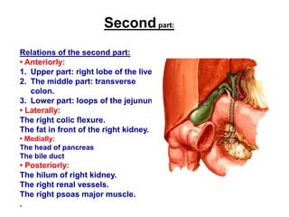 Secondpart:
Relations of the second part:
• Anteriorly:
1. Upper part: right lobe of the liver.
2. The middle part: transverse
colon.
3. Lower part: loops of the jejunum.
• Laterally:
The right colic flexure.
The fat in front of the right kidney.
• Medially:
The head of pancreas
The bile duct
• Posteriorly:
The hilum of right kidney.
The right renal vessels.
The right psoas major muscle.
.
 