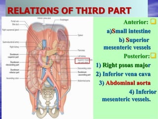 RELATIONS OF THIRD PART

Anterior:
a)Small intestine
b) Superior
mesenteric vessels

Posterior:
1) Right psoas major
2) Inferior vena cava
3) Abdominal aorta
4) Inferior
mesenteric vessels.
1 2 3
 