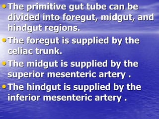 •The primitive gut tube can be
divided into foregut, midgut, and
hindgut regions.
•The foregut is supplied by the
celiac trunk.
•The midgut is supplied by the
superior mesenteric artery .
•The hindgut is supplied by the
inferior mesenteric artery .
 