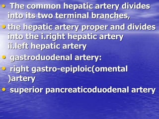 • The common hepatic artery divides
into its two terminal branches,
• the hepatic artery proper and divides
into the i.right hepatic artery
ii.left hepatic artery
• gastroduodenal artery:
• right gastro-epiploic(omental
)artery
• superior pancreaticoduodenal artery
 