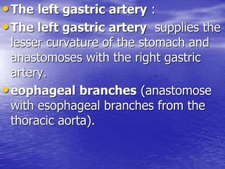 •The left gastric artery :
•The left gastric artery supplies the
lesser curvature of the stomach and
anastomoses with the right gastric
artery.
•eophageal branches (anastomose
with esophageal branches from the
thoracic aorta).
 