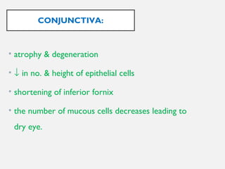 CONJUNCTIVA:
• atrophy & degeneration
• ↓ in no. & height of epithelial cells
• shortening of inferior fornix
• the number of mucous cells decreases leading to
dry eye.
 