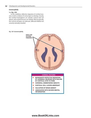Anatomic_Basis_of_Neurologic_Diagnosis.pdf