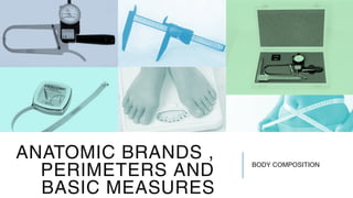 ANATOMIC BRANDS ,
PERIMETERS AND
BASIC MEASURES
BODY COMPOSITION
 