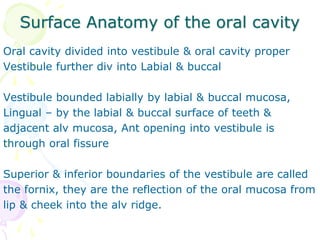 Surface Anatomy of the oral cavity
Oral cavity divided into vestibule & oral cavity proper
Vestibule further div into Labial & buccal
Vestibule bounded labially by labial & buccal mucosa,
Lingual – by the labial & buccal surface of teeth &
adjacent alv mucosa, Ant opening into vestibule is
through oral fissure
Superior & inferior boundaries of the vestibule are called
the fornix, they are the reflection of the oral mucosa from
lip & cheek into the alv ridge.
 