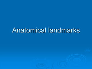 Anatomical landmarks
 