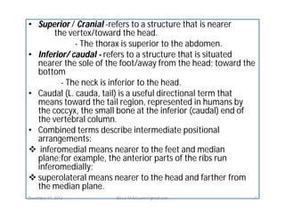 Anatomicomedical terminology ppt -by- Bitew | PDF