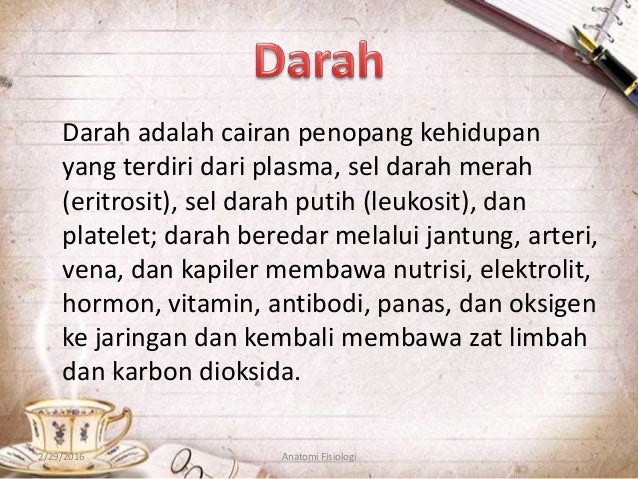 Anatomi dan fisiologi Pacemaker Jantung,Mekanisme 