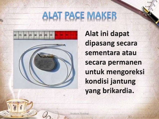 Anatomi dan fisiologi Pacemaker Jantung,Mekanisme 