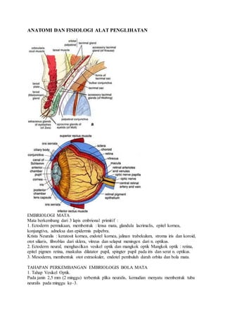 ANATOMI DAN FISIOLOGI ALAT PENGLIHATAN
EMBRIOLOGI MATA
Mata berkembang dari 3 lapis embrional primitif :
1. Ectoderm permukaan, membentuk : lensa mata, glandula lacrimalis, epitel kornea,
konjungtiva, adneksa dan epidermis palpebra.
Krista Neuralis : keratosit kornea, endotel kornea, jalinan trabekulum, stroma iris dan koroid,
otot siliaris, fibroblas dari sklera, vitreus dan selaput meningen dari n. optikus.
2. Ectoderm neural, menghasilkan vesikel optik dan mangkok optik Mangkok optik : retina,
epitel pigmen retina, muskulus dilatator pupil, spingter pupil pada iris dan serat n. optikus.
3. Mesoderm, membentuk otot extraokuler, endotel pembuluh darah orbita dan bola mata.
TAHAPAN PERKEMBANGAN EMBRIOLOGIS BOLA MATA
1. Tahap Vesikel Optik.
Pada janin 2,5 mm (2 minggu) terbentuk plika neuralis, kemudian menyatu membentuk tuba
neuralis pada minggu ke–3.
 