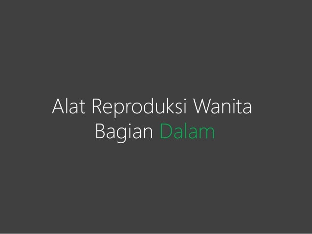 Anatomi Dan Fisiologi Alat Reproduksi