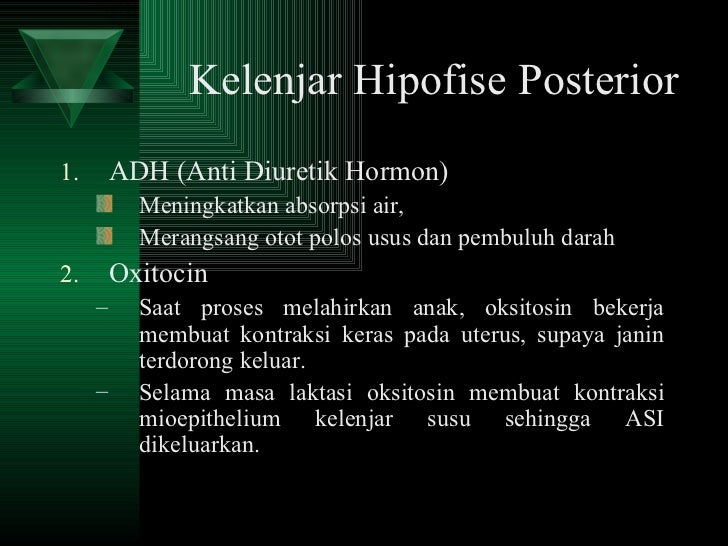 Anatomi dan fisiologi endokrin