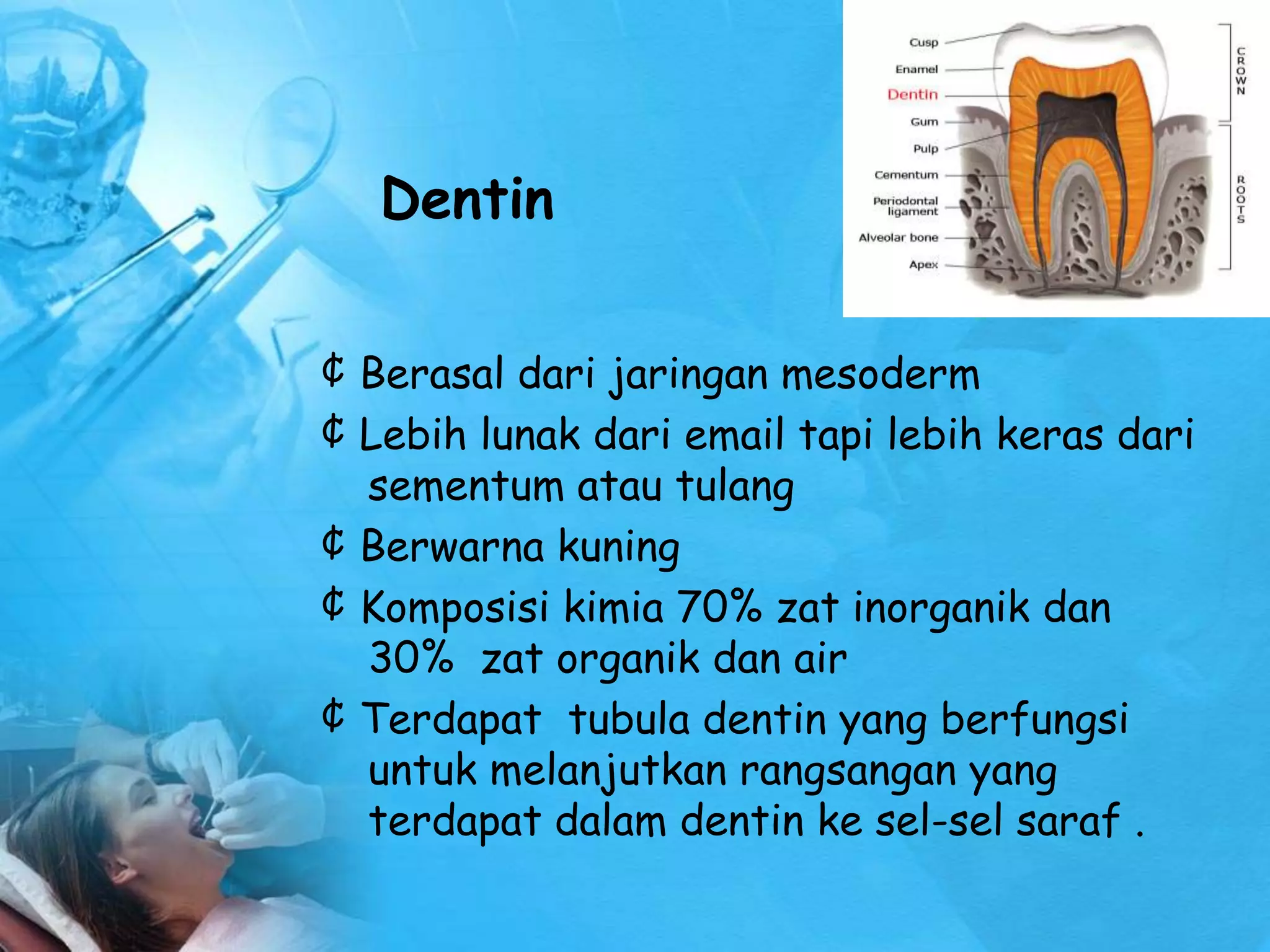 Anatomi dan Fisiologi GIGI.ppt