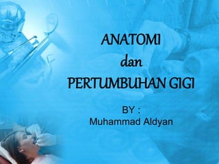 ANATOMI
dan
PERTUMBUHAN GIGI
BY :
Muhammad Aldyan
 