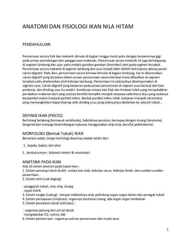Gambar Organ Ikan Bandeng