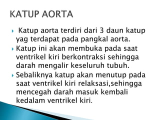  Katup aorta terdiri dari 3 daun katup
yag terdapat pada pangkal aorta.
 Katup ini akan membuka pada saat
ventrikel kiri berkontraksi sehingga
darah mengalir keseluruh tubuh.
 Sebaliknya katup akan menutup pada
saat ventrikel kiri relaksasi,sehingga
mencegah darah masuk kembali
kedalam ventrikel kiri.
 