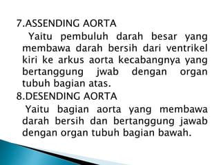 7.ASSENDING AORTA
Yaitu pembuluh darah besar yang
membawa darah bersih dari ventrikel
kiri ke arkus aorta kecabangnya yang
bertanggung jwab dengan organ
tubuh bagian atas.
8.DESENDING AORTA
Yaitu bagian aorta yang membawa
darah bersih dan bertanggung jawab
dengan organ tubuh bagian bawah.
 