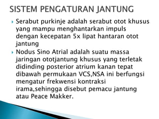  Serabut purkinje adalah serabut otot khusus
yang mampu menghantarkan impuls
dengan kecepatan 5x lipat hantaran otot
jantung
 Nodus Sino Atrial adalah suatu massa
jaringan ototjantung khusus yang terletak
didinding posterior atrium kanan tepat
dibawah permukaan VCS,NSA ini berfungsi
mengatur frekwensi kontraksi
irama,sehingga disebut pemacu jantung
atau Peace Makker.
 