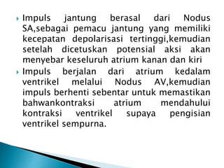 Impuls jantung berasal dari Nodus
SA,sebagai pemacu jantung yang memiliki
kecepatan depolarisasi tertinggi,kemudian
setelah dicetuskan potensial aksi akan
menyebar keseluruh atrium kanan dan kiri
 Impuls berjalan dari atrium kedalam
ventrikel melalui Nodus AV,kemudian
impuls berhenti sebentar untuk memastikan
bahwankontraksi atrium mendahului
kontraksi ventrikel supaya pengisian
ventrikel sempurna.
 