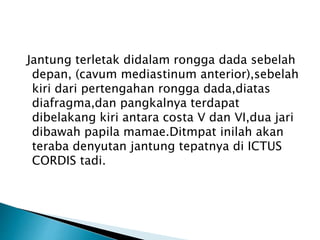 Jantung terletak didalam rongga dada sebelah
depan, (cavum mediastinum anterior),sebelah
kiri dari pertengahan rongga dada,diatas
diafragma,dan pangkalnya terdapat
dibelakang kiri antara costa V dan VI,dua jari
dibawah papila mamae.Ditmpat inilah akan
teraba denyutan jantung tepatnya di ICTUS
CORDIS tadi.
 