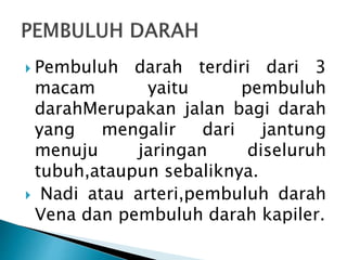  Pembuluh darah terdiri dari 3
macam yaitu pembuluh
darahMerupakan jalan bagi darah
yang mengalir dari jantung
menuju jaringan diseluruh
tubuh,ataupun sebaliknya.
 Nadi atau arteri,pembuluh darah
Vena dan pembuluh darah kapiler.
 