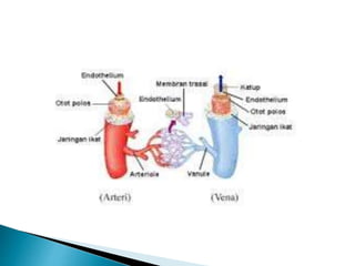 ANATOMI_DAN_FISIOLOGI_JANTUNG.pptx