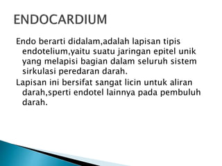 Endo berarti didalam,adalah lapisan tipis
endotelium,yaitu suatu jaringan epitel unik
yang melapisi bagian dalam seluruh sistem
sirkulasi peredaran darah.
Lapisan ini bersifat sangat licin untuk aliran
darah,sperti endotel lainnya pada pembuluh
darah.
 