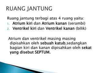 Ruang jantung terbagi atas 4 ruang yaitu:
1. Atrium kiri dan Atrium kanan (serambi)
2. Ventrikel kiri dan Ventrikel kanan (bilik)
Atrium dan ventrikel masing masing
dipisahkan oleh sebuah katub,sedangkan
bagian kiri dan kanan dipisahkan oleh sekat
yang disebut SEPTUM.
 