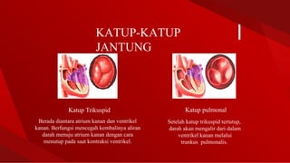 PPT Tentanganatomi dan fisiologi jantung.pptx