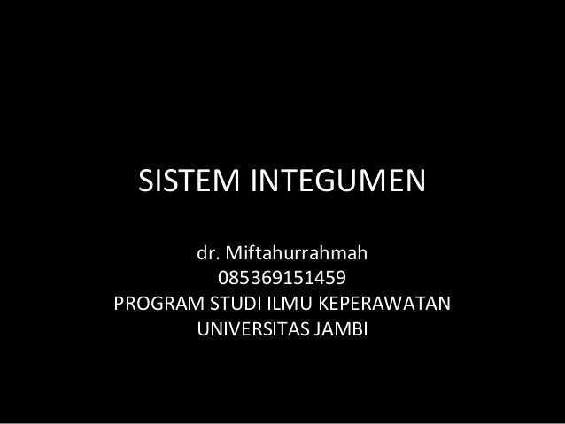 Anatomi dan fisiologi kulit