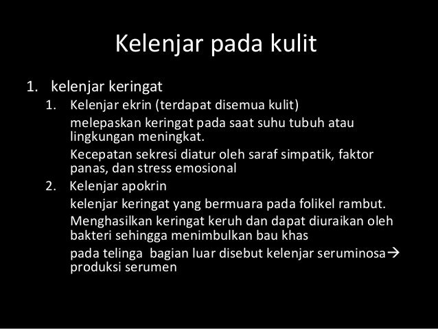 Anatomi dan fisiologi kulit